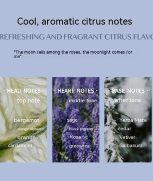 Aromatic Citrus Aromatic Perfume Long-lasting Perfume